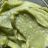 Avocado Pasta von jurallbitt | Hochgeladen von: jurallbitt