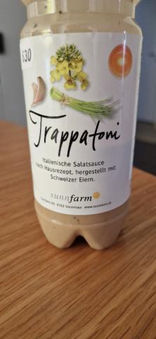 Trappatoni Salatsauce von jcpbh | Hochgeladen von: jcpbh