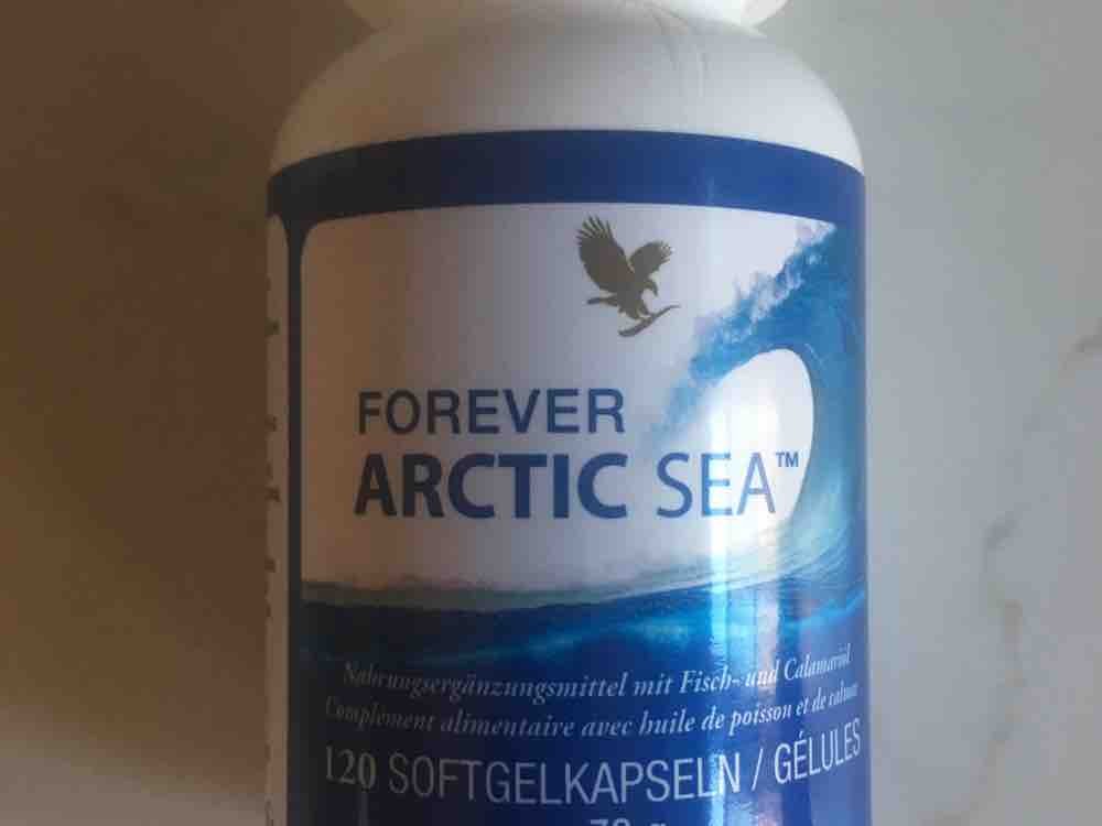 Forever Arctic sea von corinnahartl231 | Hochgeladen von: corinnahartl231