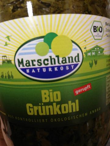 Grünkohl Marschland BIOLand von Schafgesang | Hochgeladen von: Schafgesang