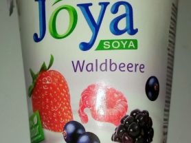 Joya Soya Joghurt, Waldbeere | Hochgeladen von: wicca