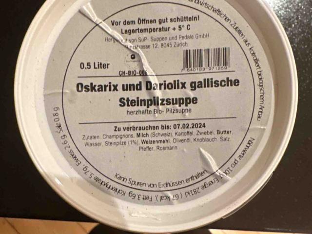 gallische Steinpilzsuppe von sworks | Hochgeladen von: sworks