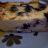 Blaubeeren Cheesecake von LoryBathory | Hochgeladen von: LoryBathory