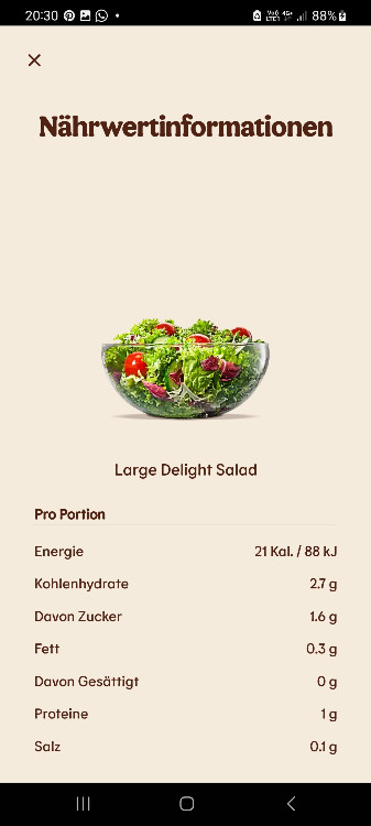 Large Delight Salad von Jessilicious | Hochgeladen von: Jessilicious