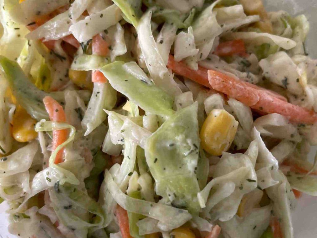 Kraut-Möhren-Salat von Loeberli | Hochgeladen von: Loeberli