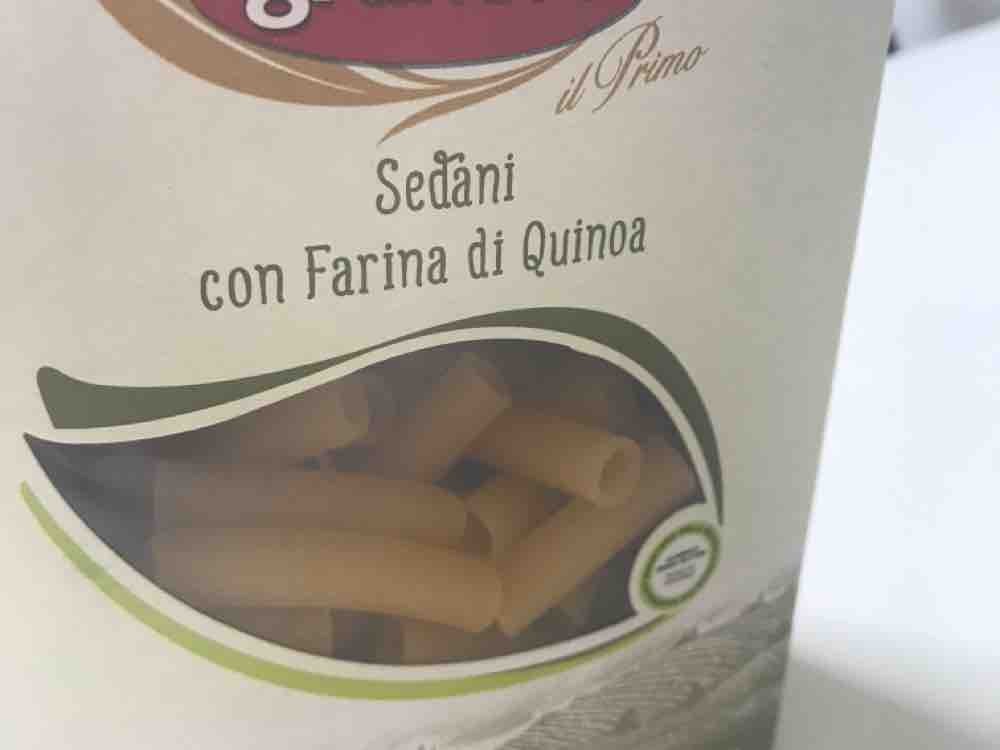 Sedani, con Farina di Quinoa von Crazylittleshit | Hochgeladen von: Crazylittleshit