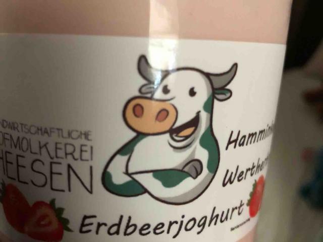 Erdbeerjoghurt, Milch von Rosalinde | Hochgeladen von: Rosalinde