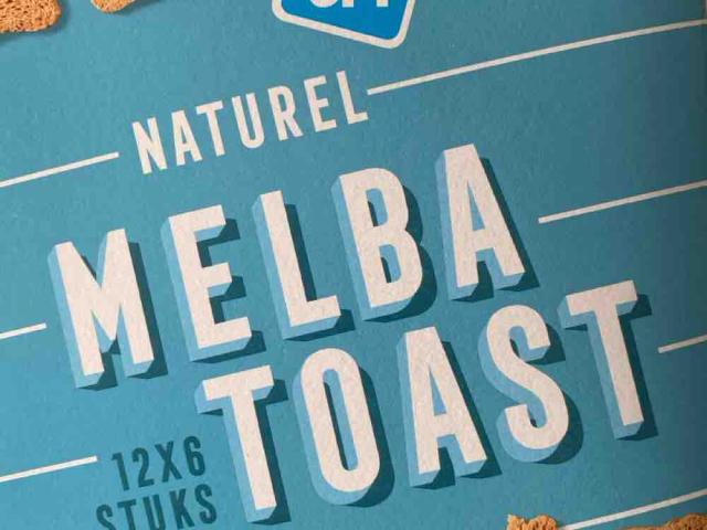 Melba Toast von bluebellowl | Hochgeladen von: bluebellowl