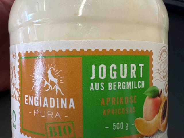 Engiadina pura Jogurt Aprikose von Fahisha | Hochgeladen von: Fahisha