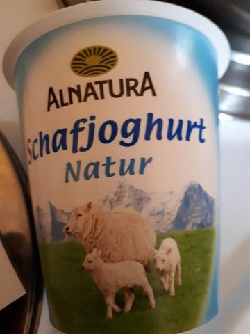 Schafsjoghurt natur von Kaschperle | Hochgeladen von: Kaschperle