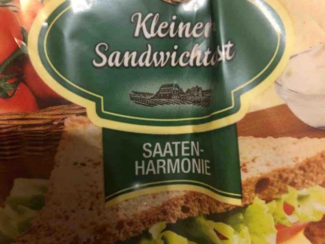 Sandwich Toast von niklast | Hochgeladen von: niklast