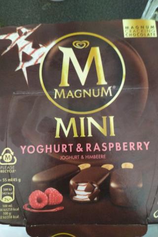 Mini Yoghurt & Raspberry, Joghurt & Himbeere von einstei | Hochgeladen von: einsteinmp424