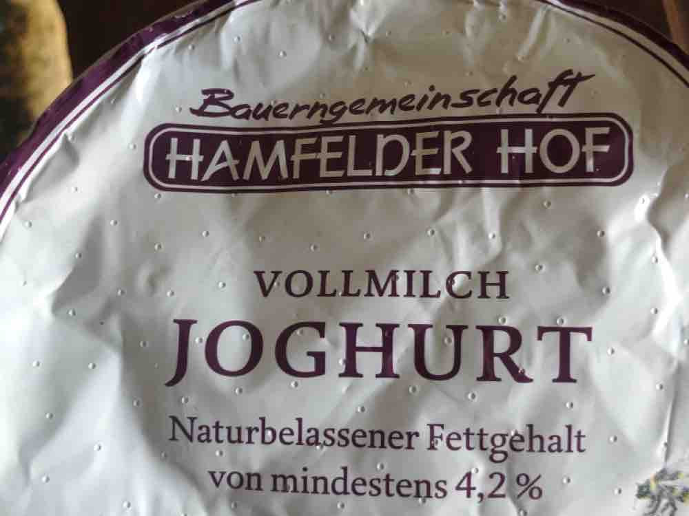 Vollmilch Joghurt 4.2% by clariclara | Hochgeladen von: clariclara