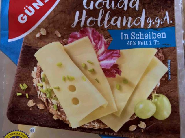 Gouda Holland, 48% Fett by kiraelisah | Uploaded by: kiraelisah