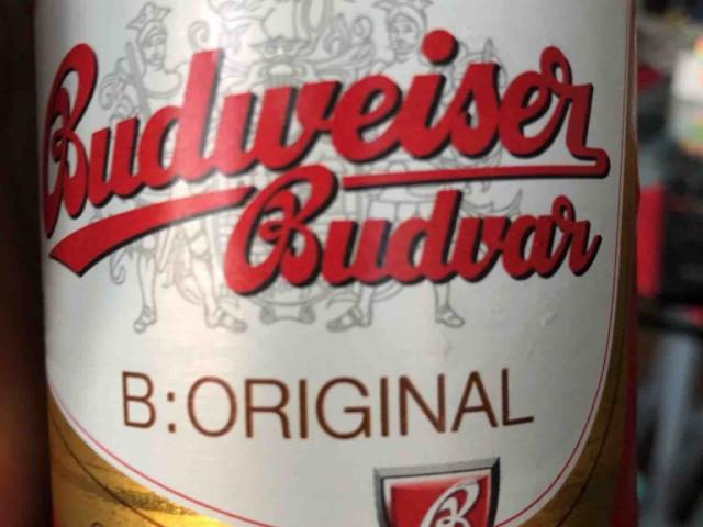 Budweiser Bier, Helles Premium-Lagerbier von MBG | Hochgeladen von: MBG