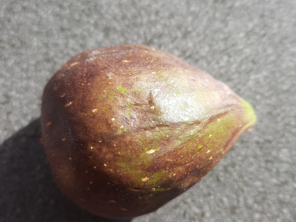 Hochgeladen von: MartinaGö