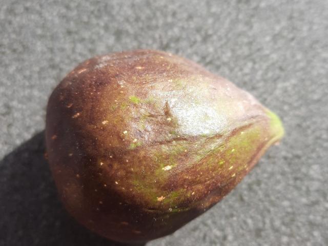 Hochgeladen von: MartinaGö