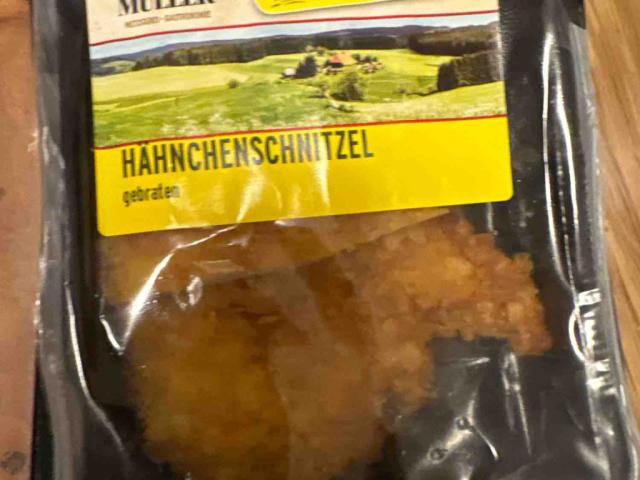 Hähnchenschnitzel gebraten von Vlad007 | Hochgeladen von: Vlad007