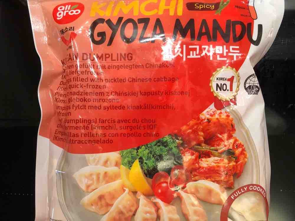 KIMCHI Gyoza Mandu, Korean Dumpling von Eismeer2018 | Hochgeladen von: Eismeer2018