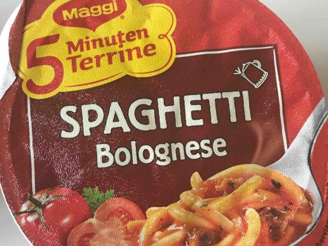 Spaghetti Bolognese - 5 Minuten Terrine von himbeeri | Hochgeladen von: himbeeri