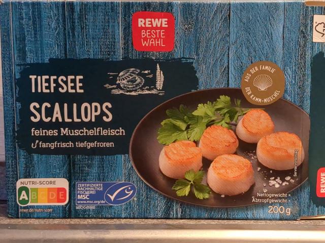 Tiefsee Scallops von felixwho | Hochgeladen von: felixwho