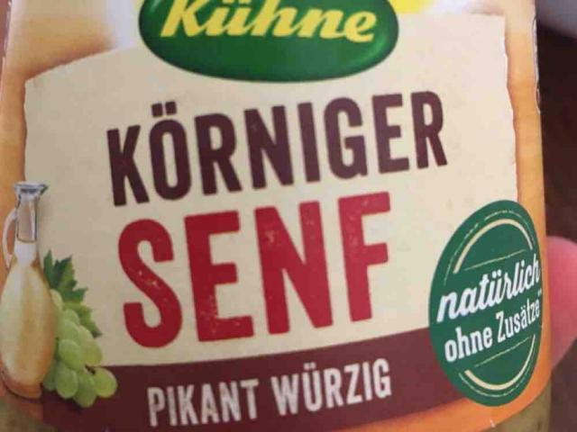 Körniger Senf by twi | Uploaded by: twi
