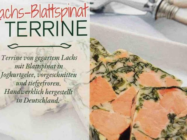 Lachs-Blattspinat TERRINE von bschindler75673 | Hochgeladen von: bschindler75673