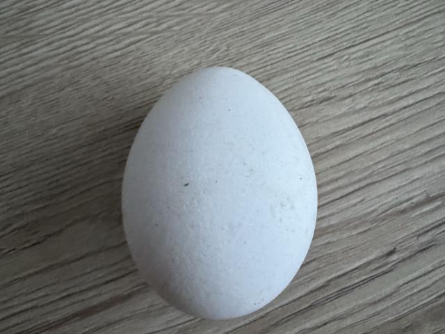 Hochgeladen von: jayo