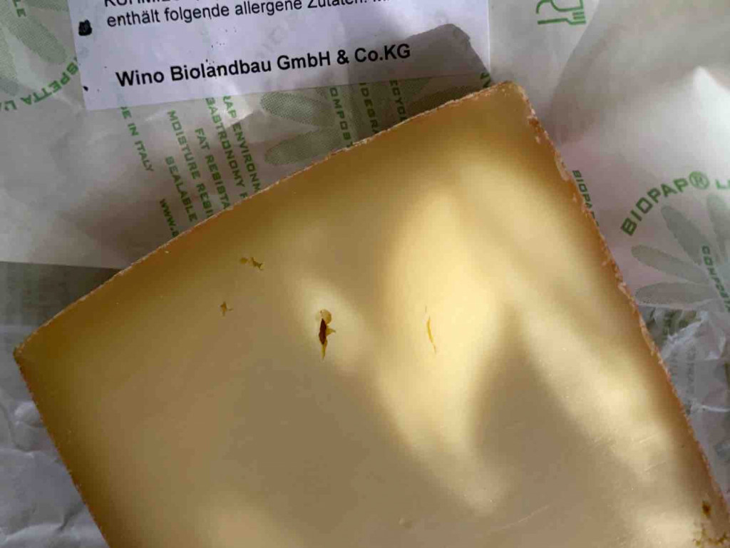 Firstkönig Schweizer Käse von morisco | Hochgeladen von: morisco