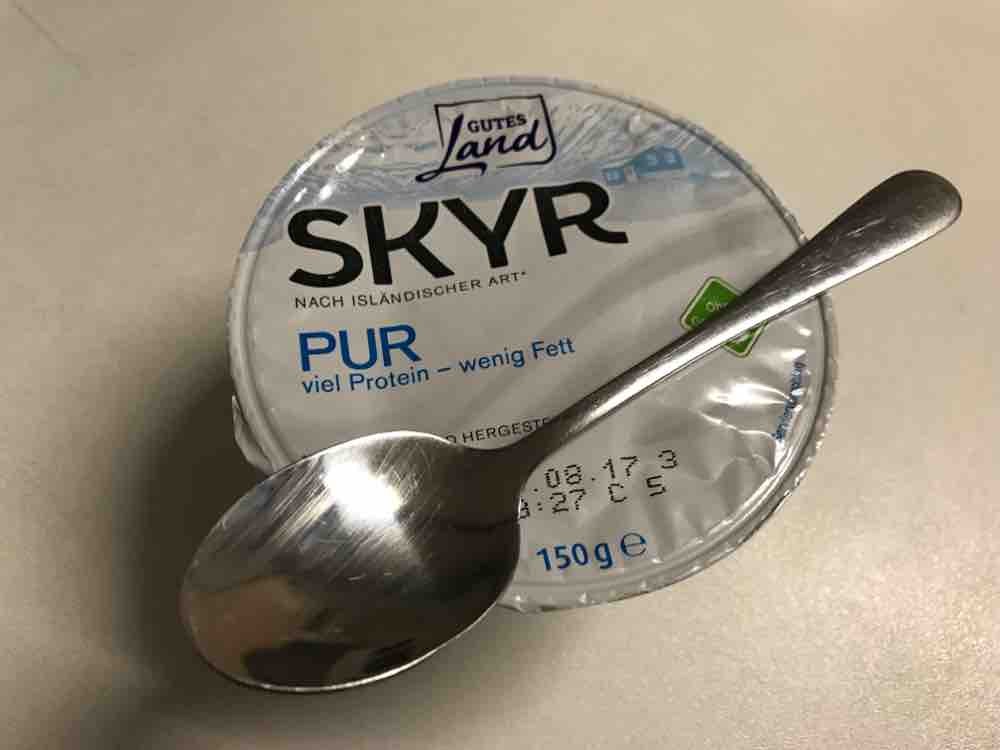 Gutes Land, Skyr, pur Kalorien - Joghurt - Fddb