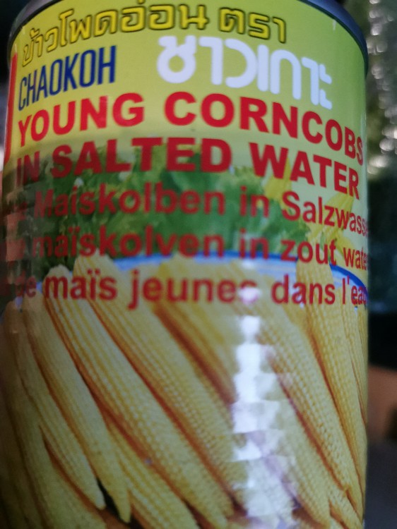 young corncobs in salted water von BlueParadise21 | Hochgeladen von: BlueParadise21 young corncobs in salted water von BlueParadise21 | Hochgeladen von: BlueParadise21