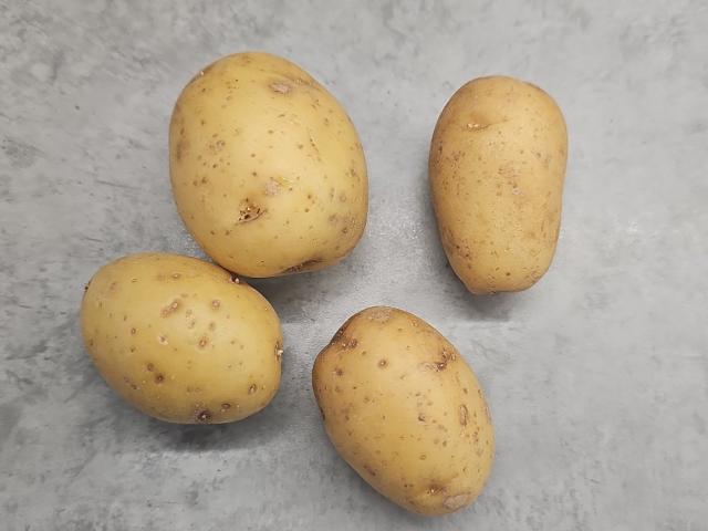 Hochgeladen von: mauro.tamm@gmail.com