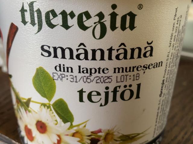 Smântânå, tejföl by Mezzodiva | Hochgeladen von: Mezzodiva Smântânå, tejföl by Mezzodiva | Hochgeladen von: Mezzodiva