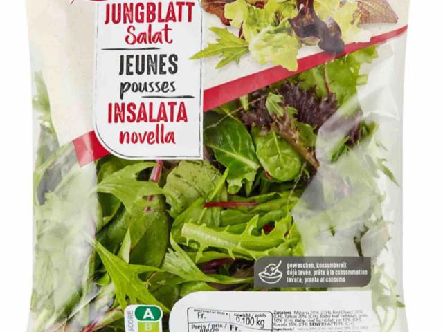 Jungblattsalat by Arsenio | Hochgeladen von: Arsenio