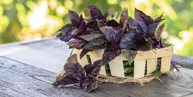 Hochgeladen von: swainn Hochgeladen von: swainn