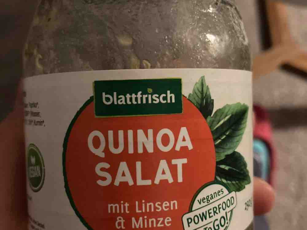 Quinoa Salat, mit Linsen & Minze von NinjaMeyer | Hochgeladen von: NinjaMeyer