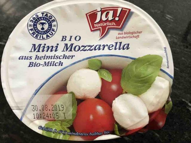 Mini Mozzarella  von Lexi | Hochgeladen von: Lexi
