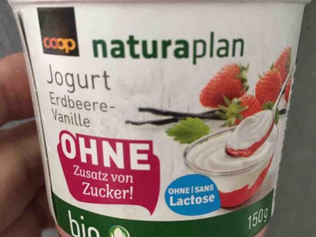 Jogurt Erdbeere-Vanille, ohne Zusatz von Zucker von yvonneernst3 | Hochgeladen von: yvonneernst336