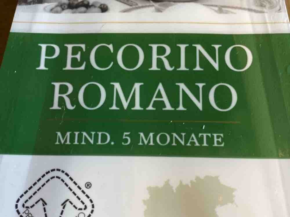 Pecorino Romano, Mind. 5Monate von NiaHannemann | Hochgeladen von: NiaHannemann