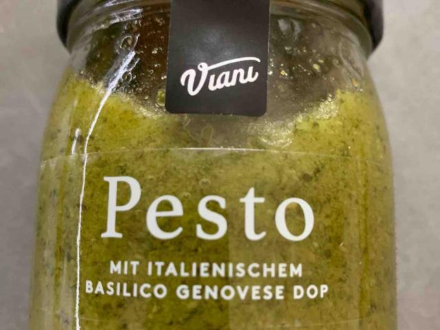 Pesto Viani von Estherr | Hochgeladen von: Estherr