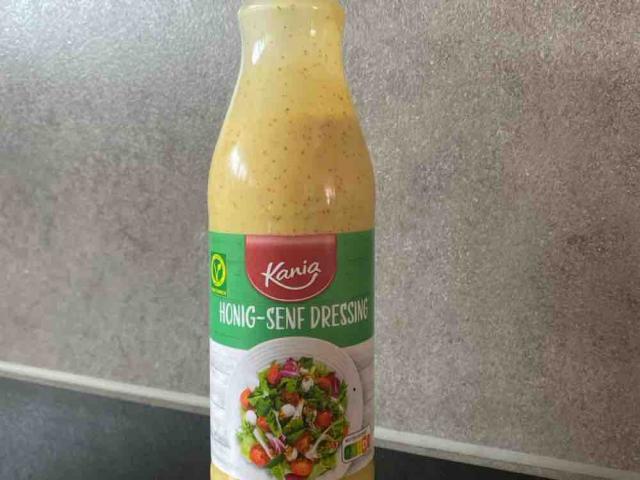 Honig, Senf Dressing, Vegetarisch von Kessy0409 | Hochgeladen von: Kessy0409