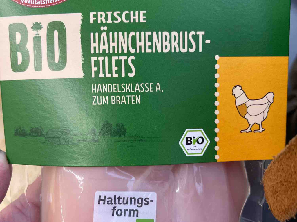 Hähnchenbrustfilets, bio von ChamaedoreaElegans | Hochgeladen von: ChamaedoreaElegans