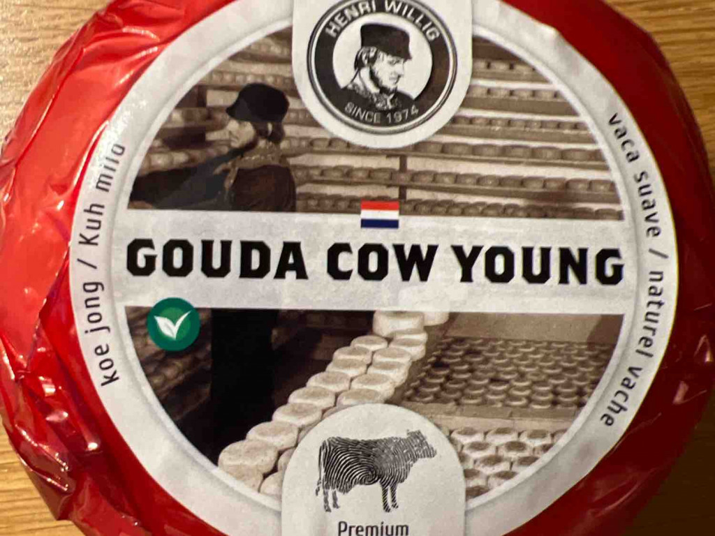 Gouda Cow Young Premium Dutch Cheese von Balkanessin | Hochgeladen von: Balkanessin