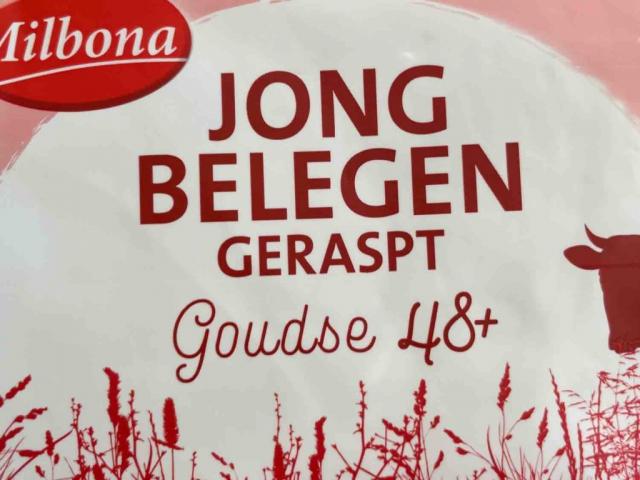 Jong Belegen Goudse 48+, Geraspt by johnh | Uploaded by: johnh