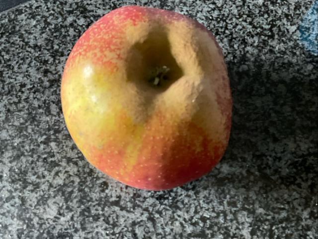 Apfel, frisch von innj | Uploaded by: innj Apfel, frisch von innj | Uploaded by: innj