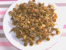 Hochgeladen von: Meleana