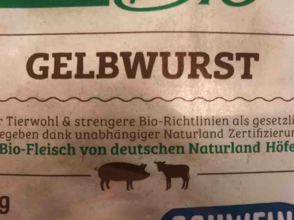 Gelbwurst, Bio von Skoach | Hochgeladen von: Skoach