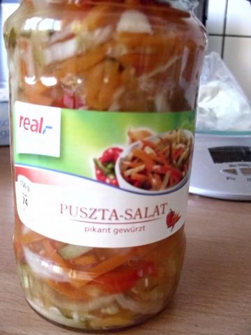 Puszta-Salat, pikant-gewürzt | Hochgeladen von: diekleineolga