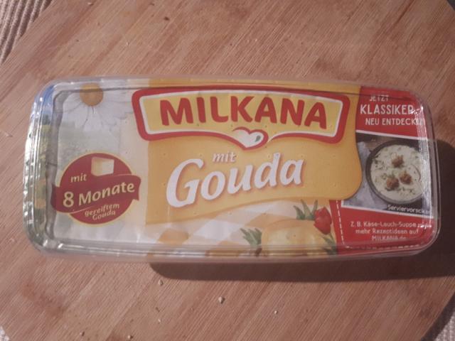 Milkana mit Gouda von karinka2 | Hochgeladen von: karinka2