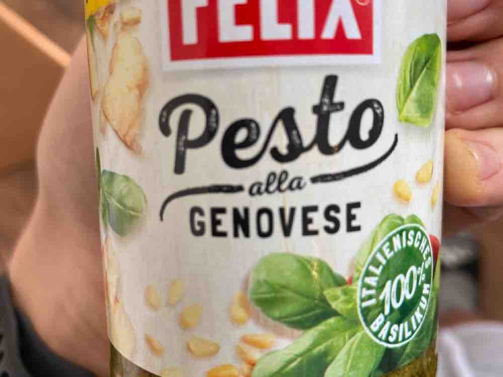 Felix Pesto alla Genovese von tschulsn2004 | Hochgeladen von: tschulsn2004